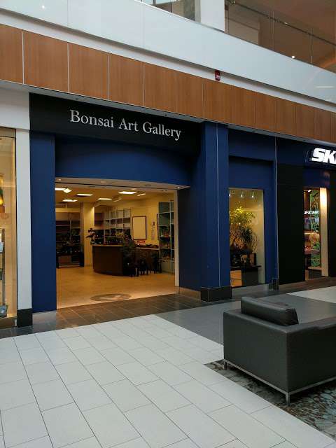 Jobs in Bonsai Art Gallery - reviews