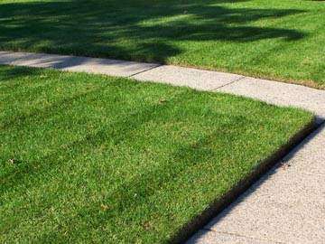 Jobs in The Cutting Edge Landscaping - reviews